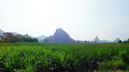 乡村美景
