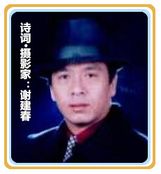 【名家专栏】诗词·摄影家：谢建春